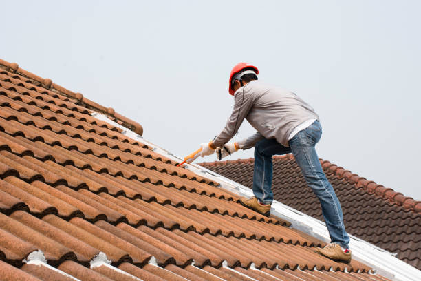 Best Roof Installation  in Quincy, MI